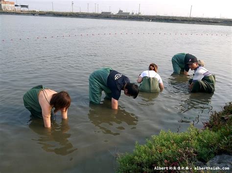 新水魚場|食農好好玩／彰化「哈哈漁場」體驗下水摸蛤仔、當漁。